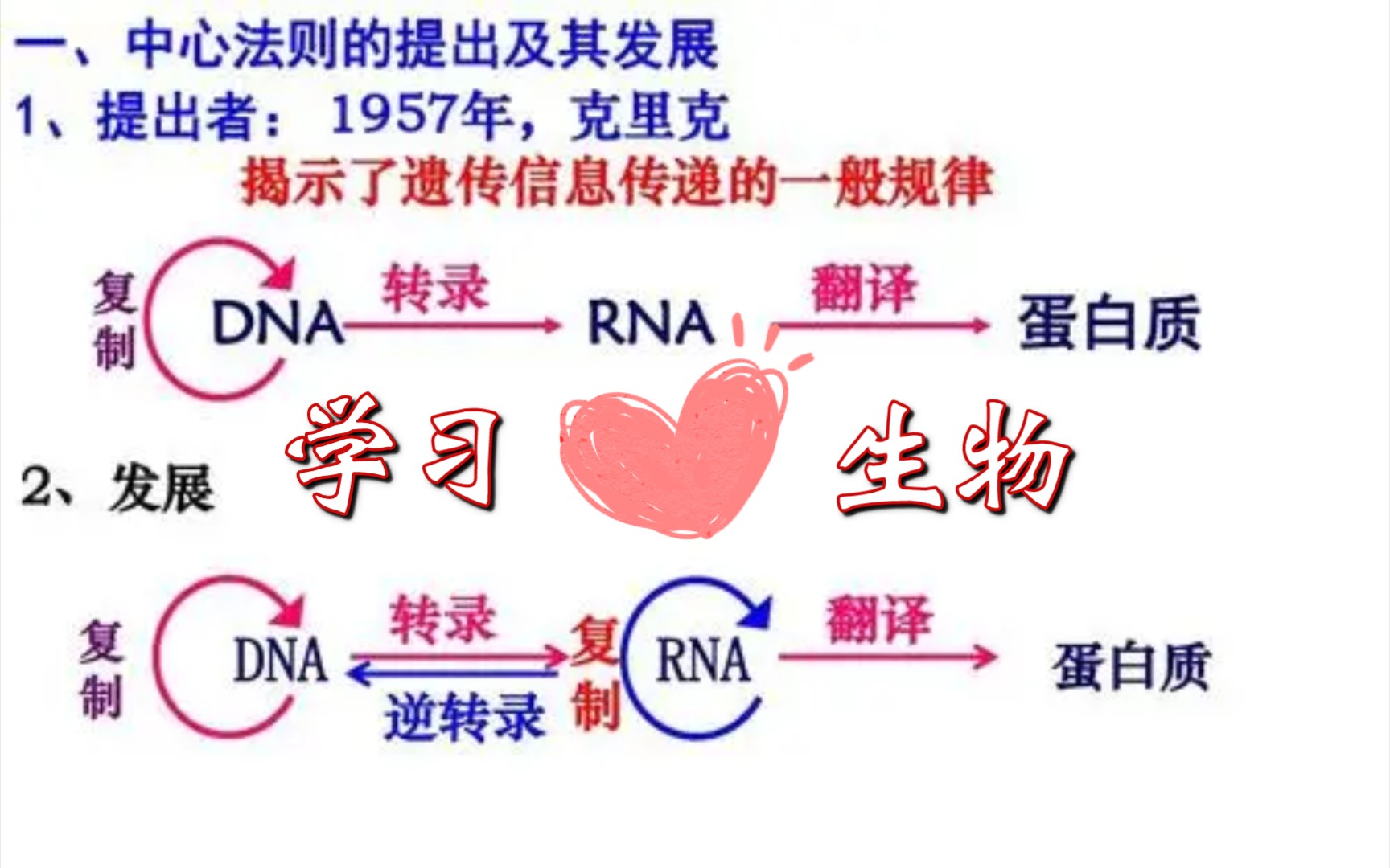 中心法则?速速了解!哔哩哔哩bilibili