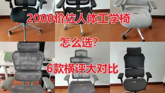 2000价位的人体工学椅怎么选？6款横评大对比：保友金豪b2代、西昊C300、永艺530、Ergomax Evo2+、享耀家X5、享耀家F3A