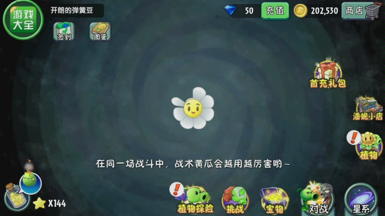 看花
