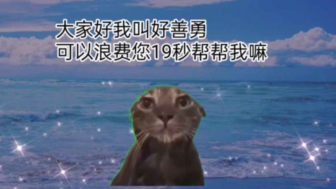 【猫meme】此视频收益全部给奶奶减轻痛苦和中药哔哩哔哩bilibili