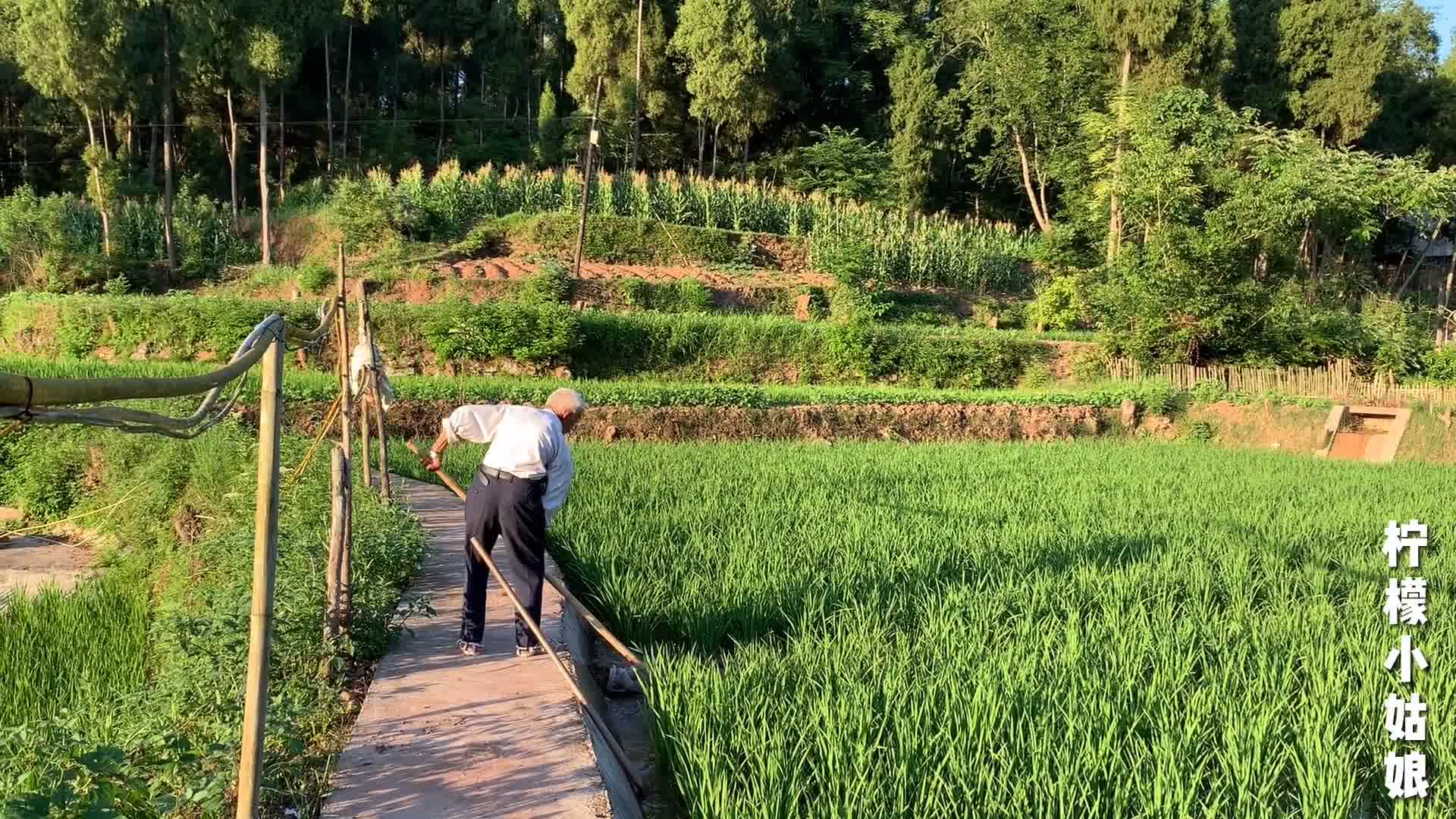 [图]在外漂泊的你，有没有思念家乡的故土，怀念曾经没钱却快乐的日子