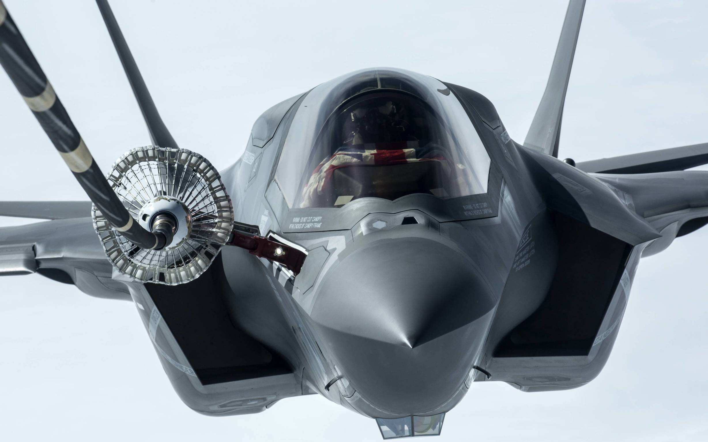 skyfeastf35隐形战斗机常被戏称肥电其实它是个灵活的胖子