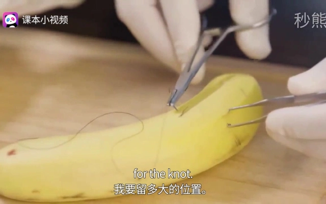 秒熊英语科普君的个人空间 哔哩哔哩 Bilibili