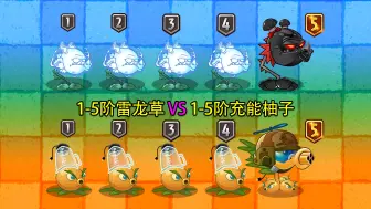 Download Video: 1-5阶雷龙草 VS 1-5阶充能柚子！2个强力电属性植物，谁更强？