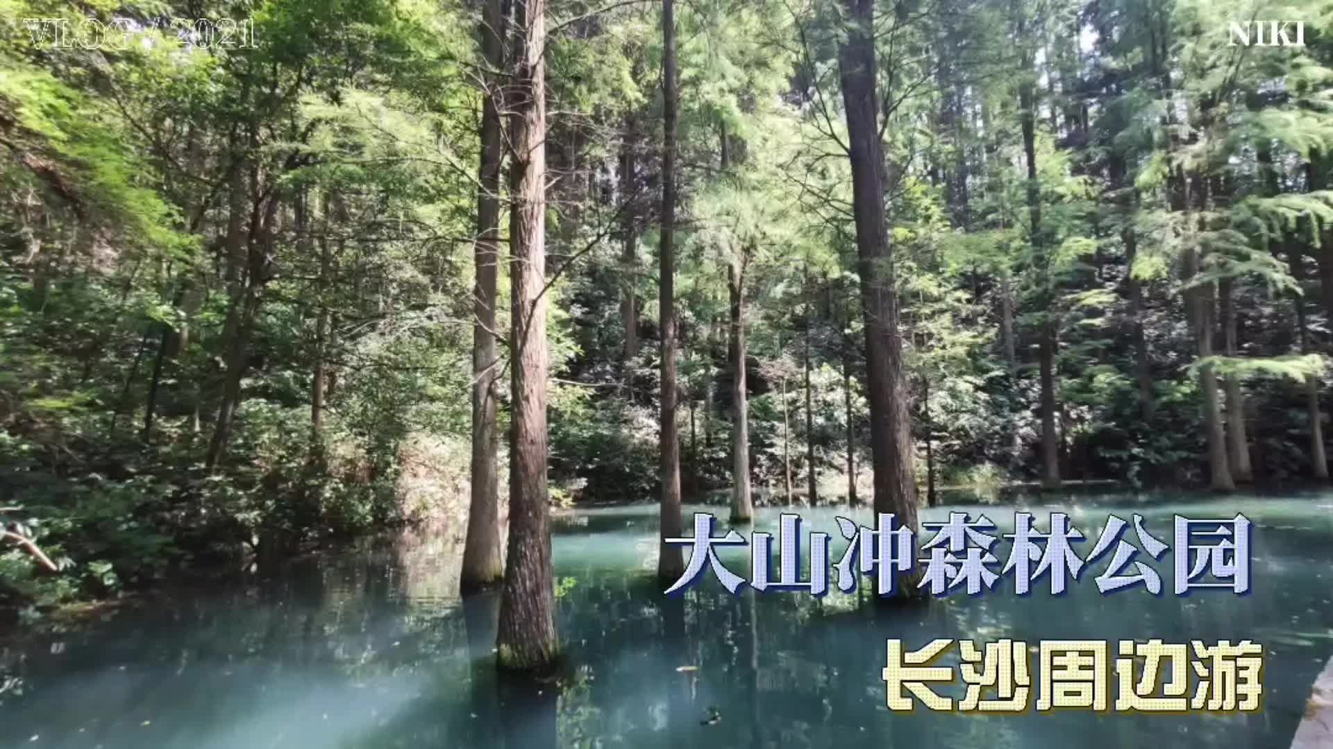 长沙大山冲森林公园.夏天到长沙小九寨避暑.哔哩哔哩bilibili