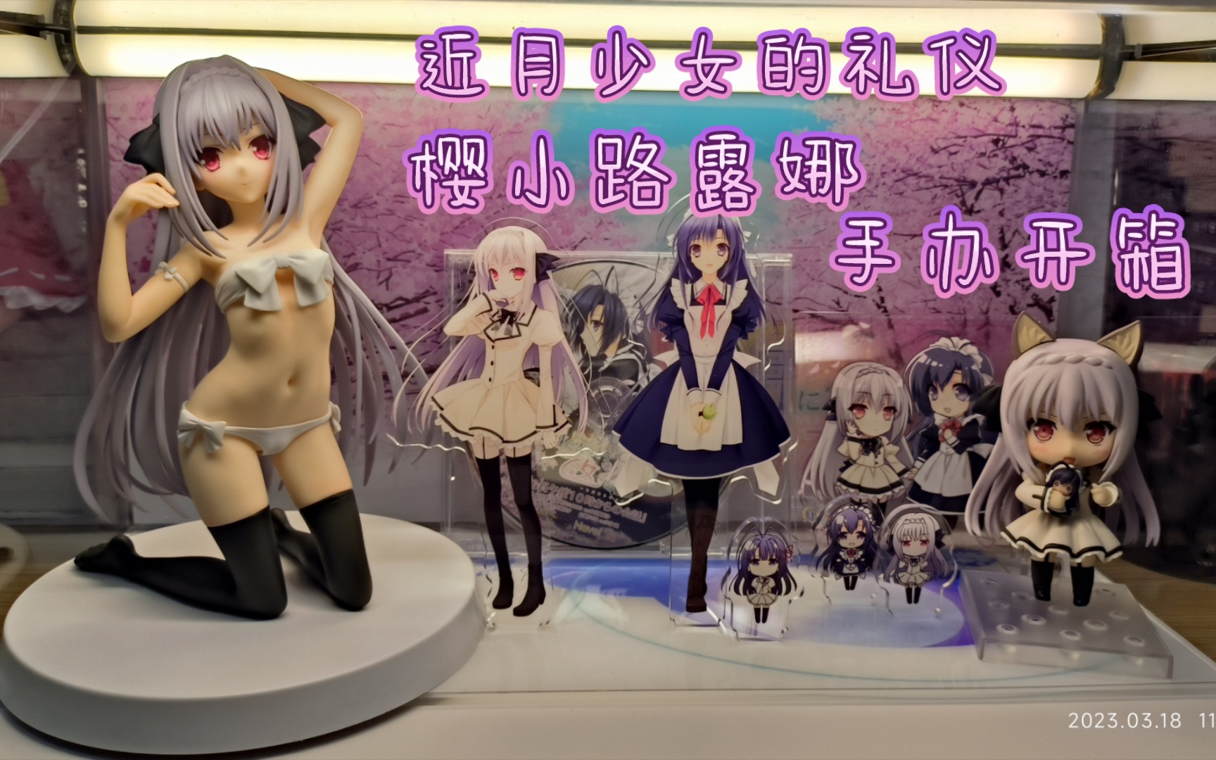 【近月】近月少女的礼仪 樱小路露娜 q-six厂正版手办开箱