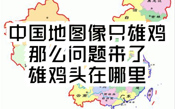 【涨姿势】都知道中国地图像只雄鸡,那么你认为雄鸡头应该在哪里?欢迎补充哔哩哔哩bilibili