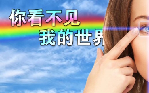 你看不见我的世界哔哩哔哩bilibili