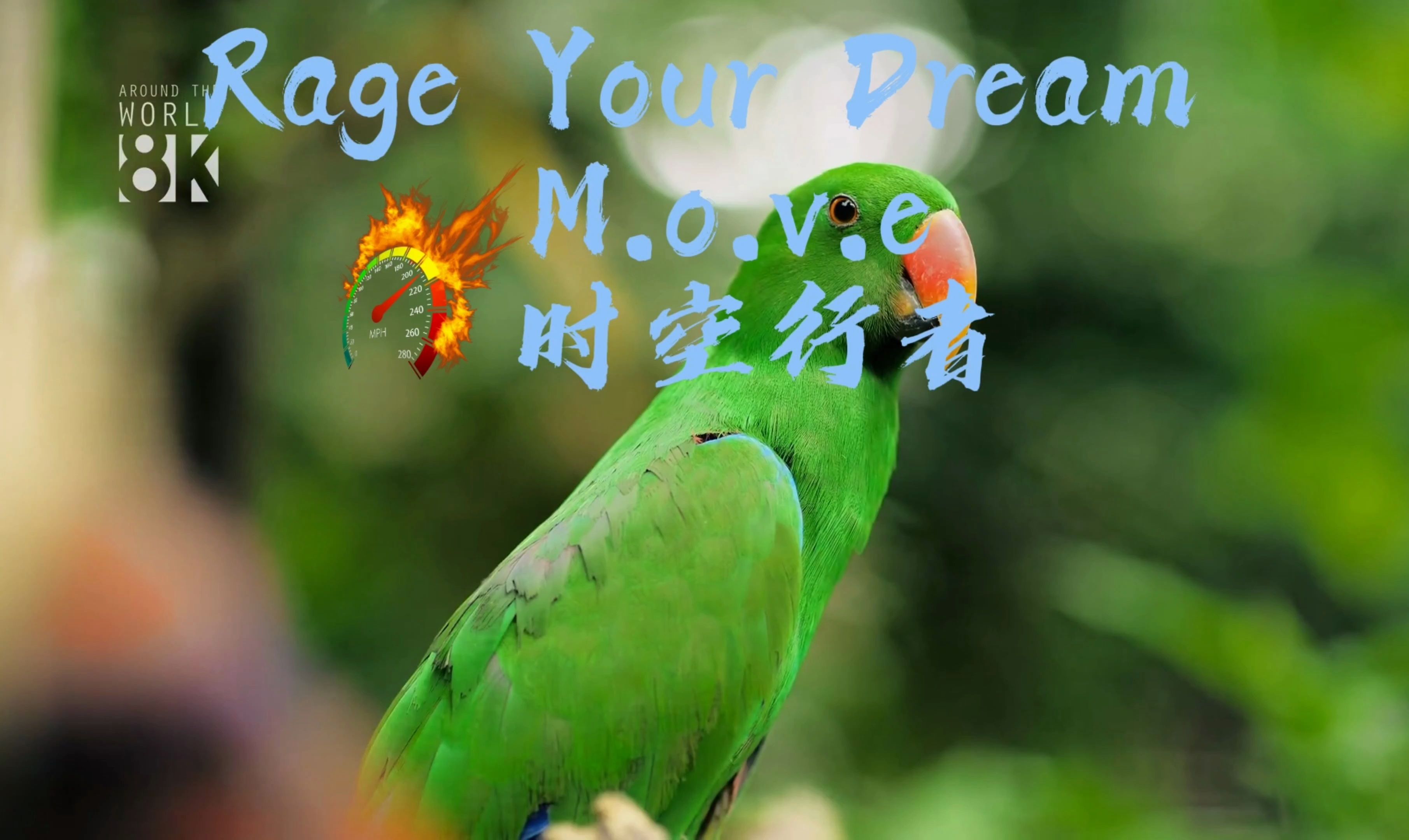 Rage Your Dream M.o.v.e 时空行者哔哩哔哩bilibili