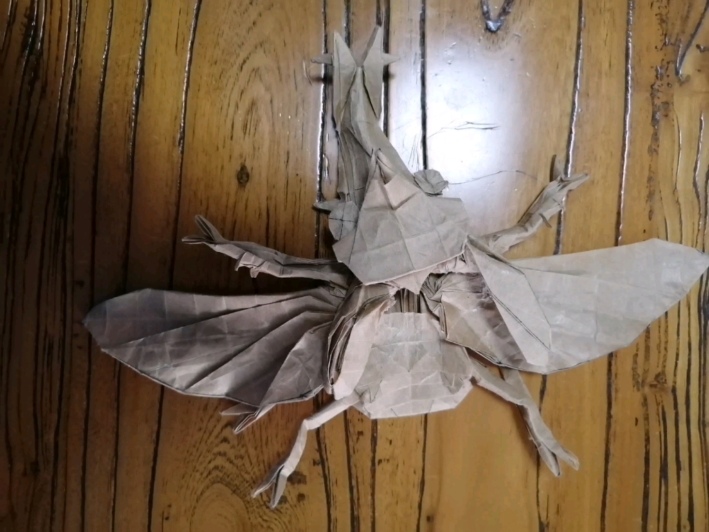 一折加藤飞行独角仙,折的不太好