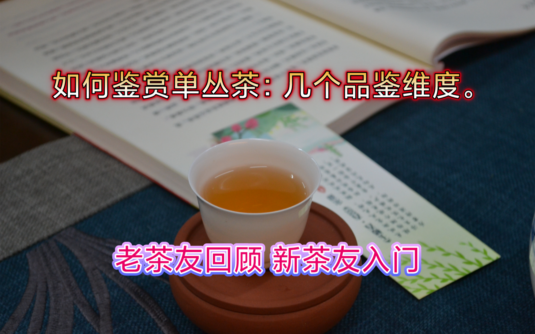 如何喝懂单丛茶? :从这几个方面入手!看完就可以少有弯路,避免误区.哔哩哔哩bilibili