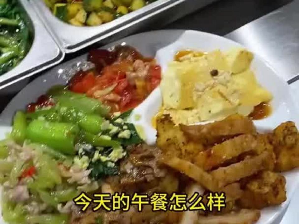 今天的菜品我很满意,公司食堂员工餐哔哩哔哩bilibili