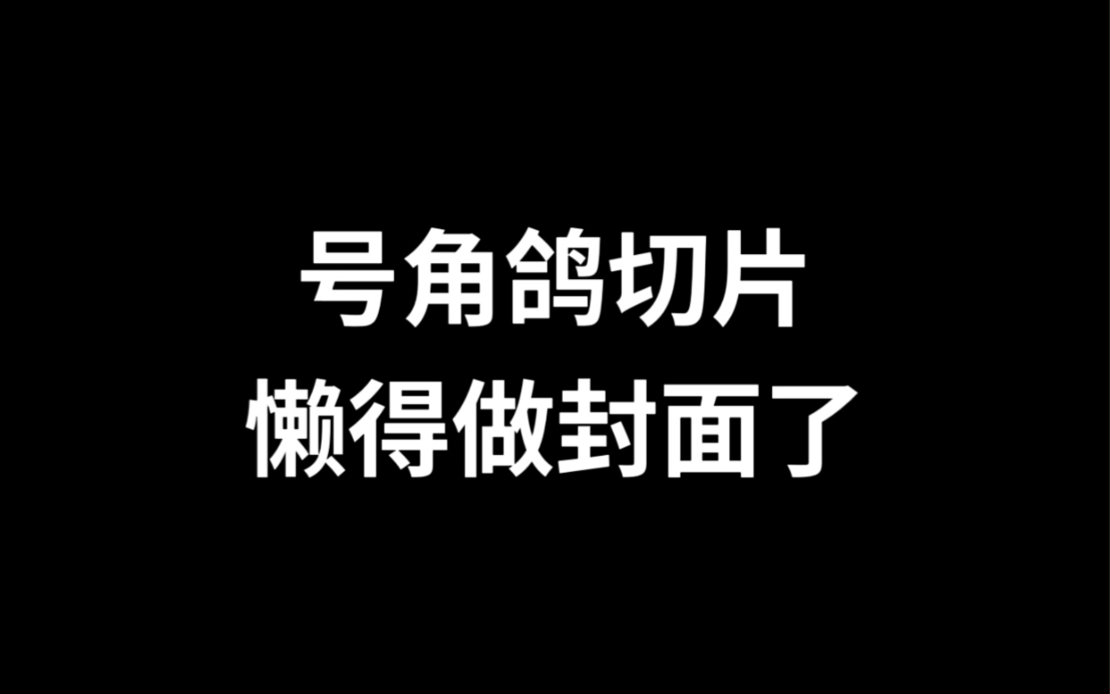 [图]【Disillusion号角鸽】主播很少见的情绪波动+1