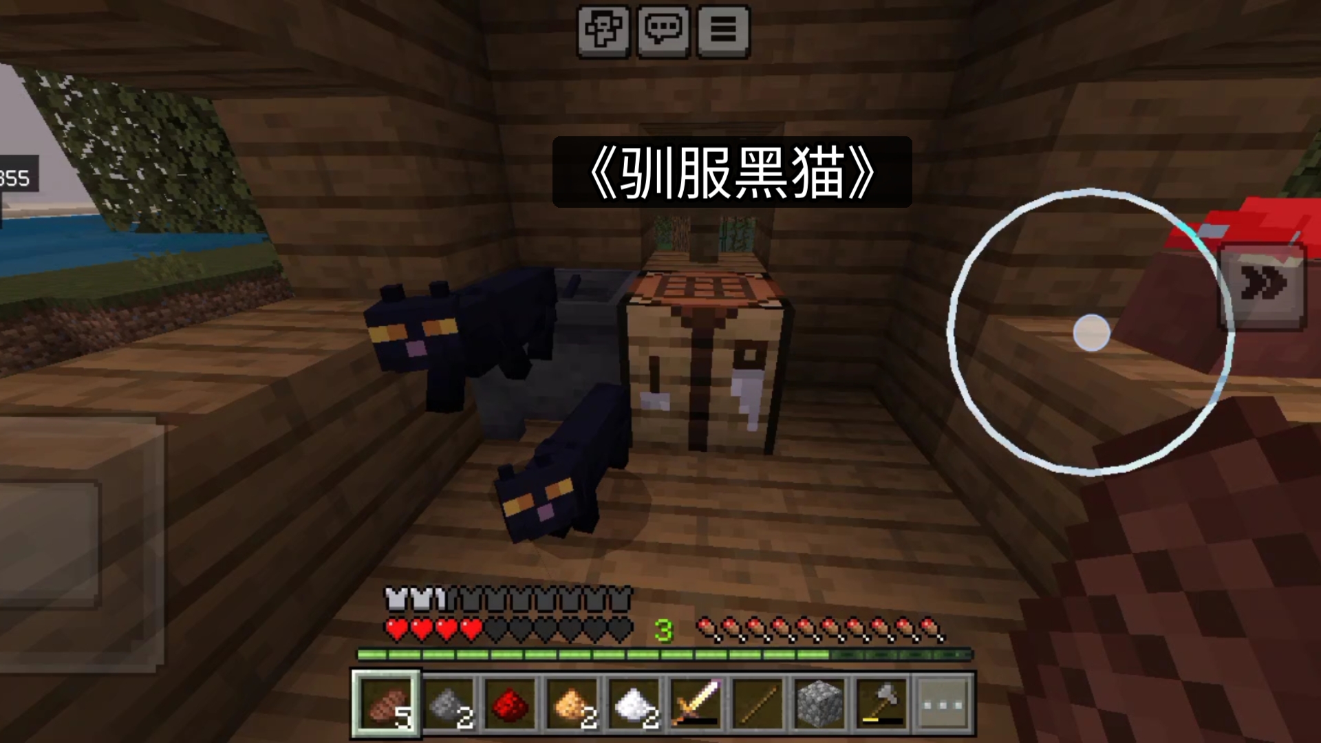 【我的世界】如何驯服一只黑猫