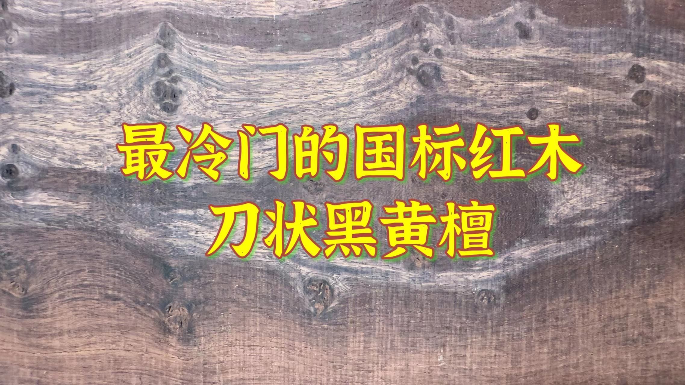 最冷门的国标红木,红木家具新手根本没听过,老玩家的心头肉哔哩哔哩bilibili