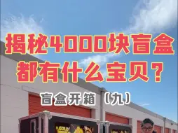 Download Video: 花4000美金买下海外盲盒！猜猜到底能赚多少钱？（9）