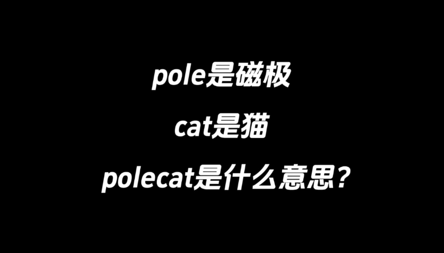 poke是磁极,cat是猫,polecat是什么意思?哔哩哔哩bilibili