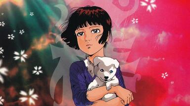 480P/DVDrip/OVA】地下幻灯剧画少女椿1992【生肉】_哔哩哔哩_bilibili