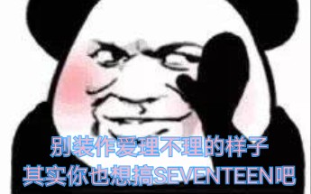 【SEVENTEEN】适合深夜躲在被窝里看哦,我真的可以啊啊啊哔哩哔哩bilibili