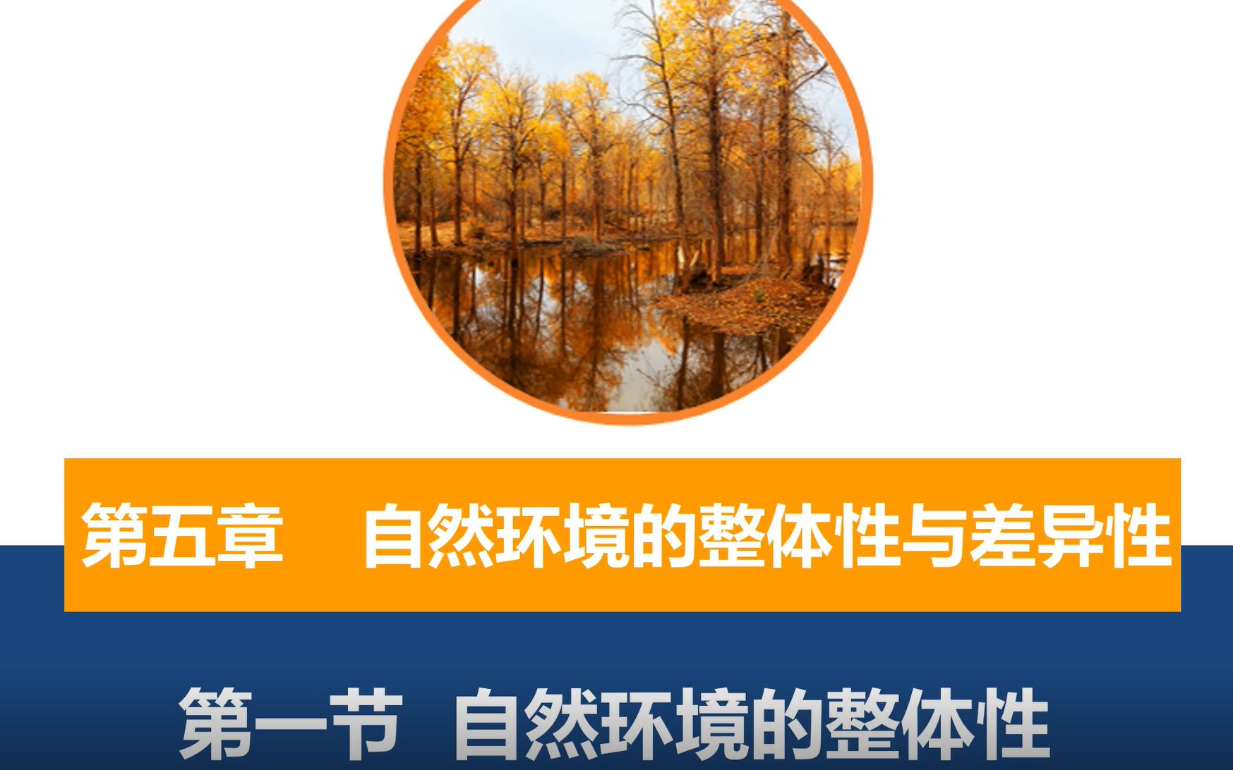 《自然环境的整体性》(3)