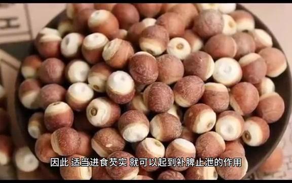 吃什么食物补脾比较好?这7种食物不容错过哔哩哔哩bilibili