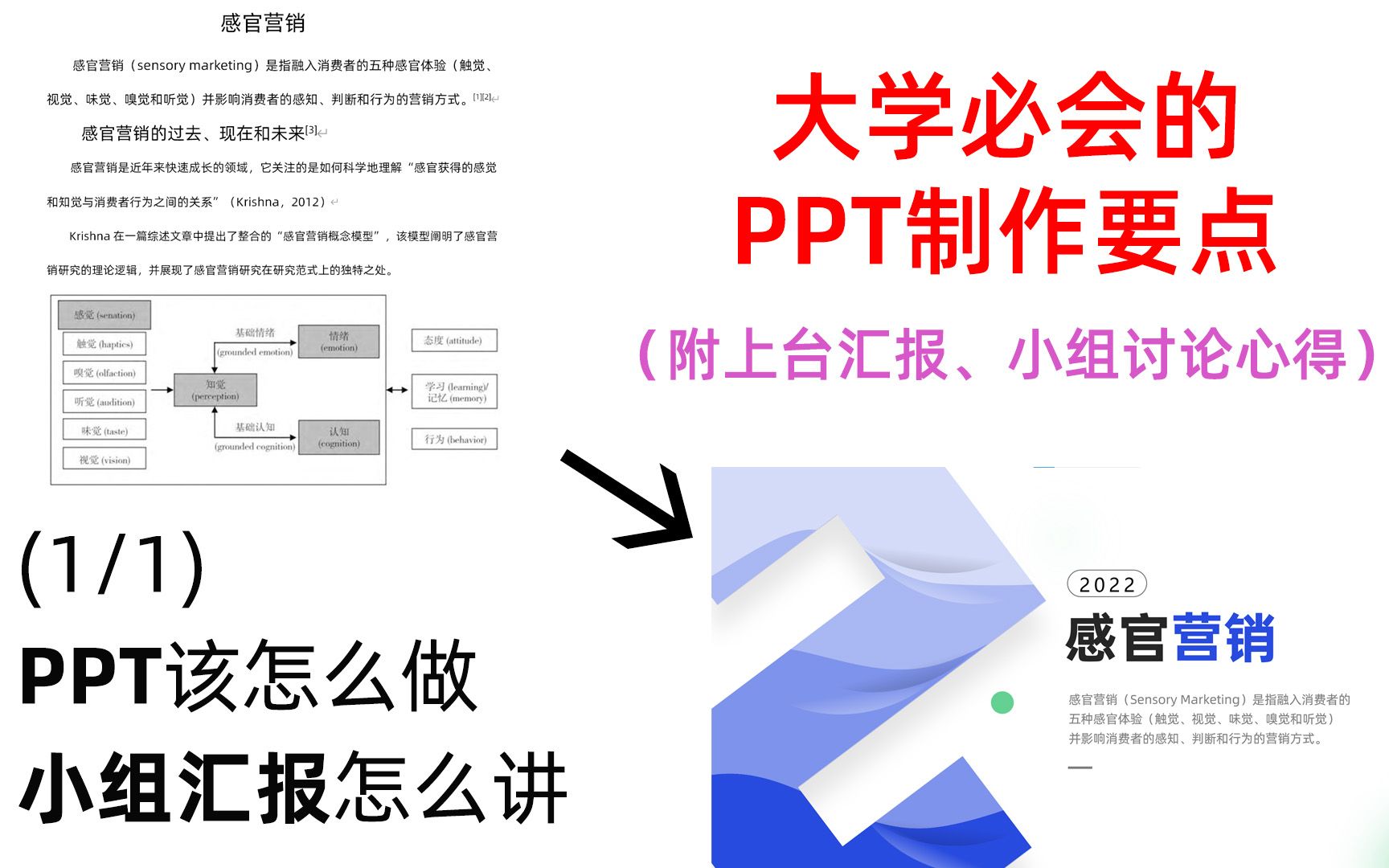 大学必会的PPT制作要点(附上台汇报心得)哔哩哔哩bilibili