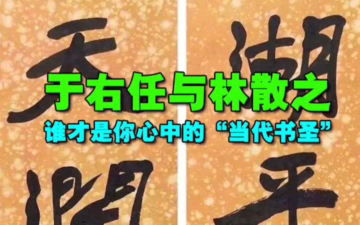 于右任与林散之,谁才是你心中的“当代书圣”哔哩哔哩bilibili