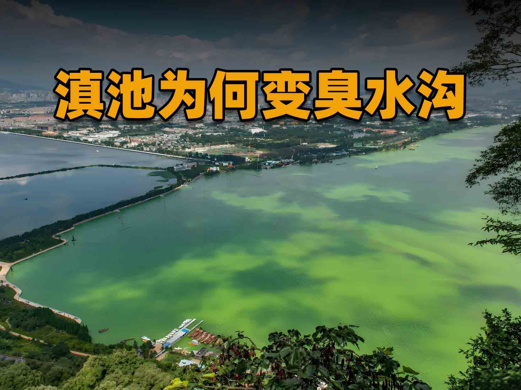 耗时25年难治理,从高原明珠到“臭水湖”,滇池到底经历了什么?哔哩哔哩bilibili