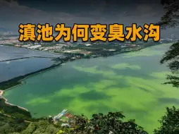 Télécharger la video: 耗时25年难治理，从高原明珠到“臭水湖”，滇池到底经历了什么？