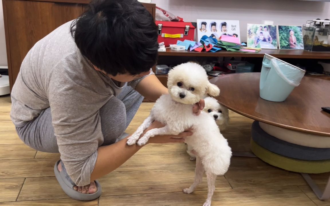 [图]看来经常做坏事的人，就算有一天改邪归正也不会有人轻易相信了