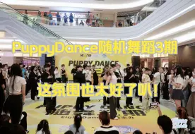 Tải video: 【PuppyDance随舞3期】深圳KKONE 2024.8.18随机舞蹈上半场2