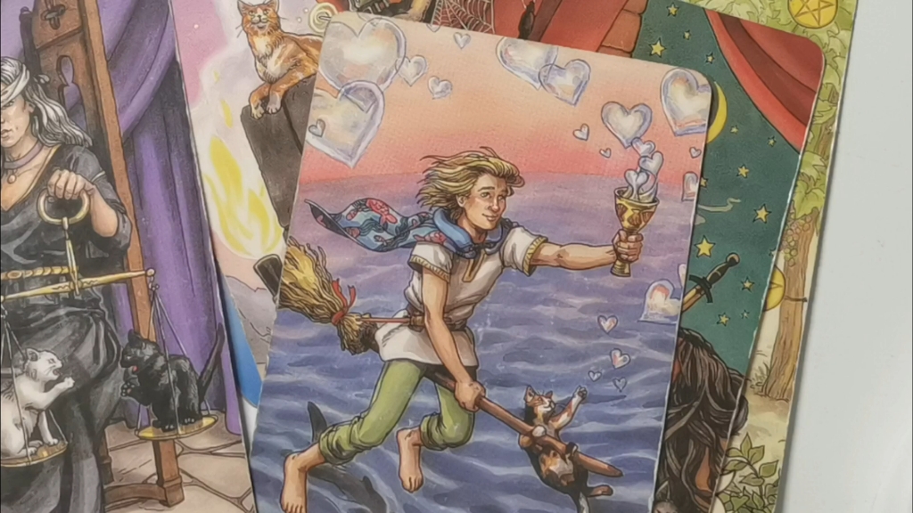 【王俊凯系列】之正缘现状