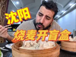 Descargar video: 沈阳烧卖开盲盒，只能说老王的美味雷达真的太好用了！