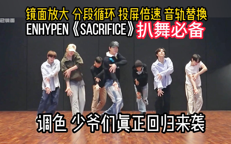 [图]【扒舞必备】ENHYPEN 真正回归 Sacrifice 镜面放大 分段循环 投屏倍速 音轨替换