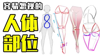 画人体最容易被忽视的5个结构！新手一定要注意的人体细节！【轻微课 一看就绘-739期】