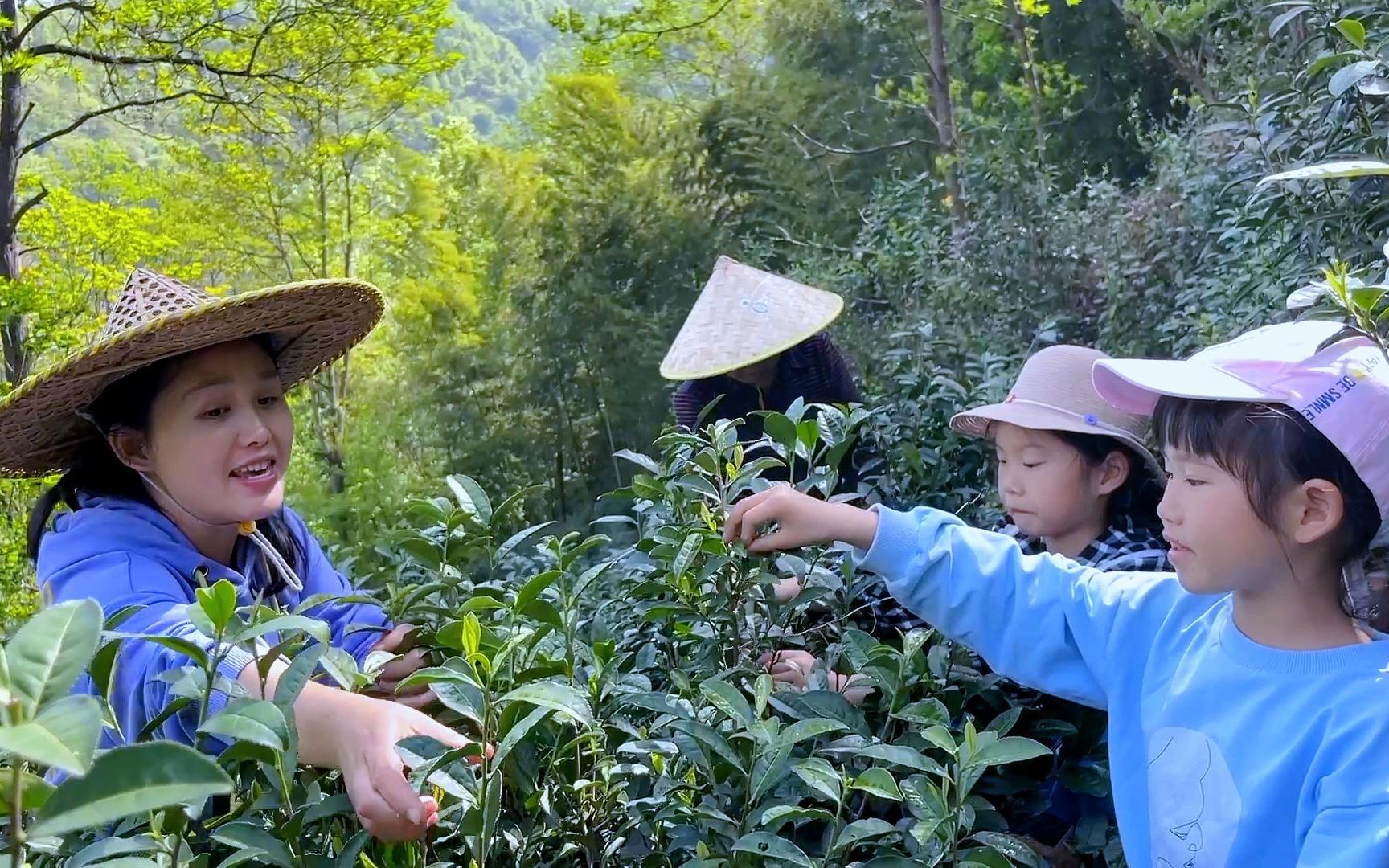 [图]三个孩子边唱歌，边采茶叶，用劳动收获第一份收入