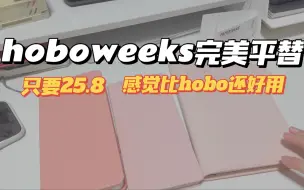 Download Video: 我终于找到hobo weeks的完美平替了！只要25.8r！