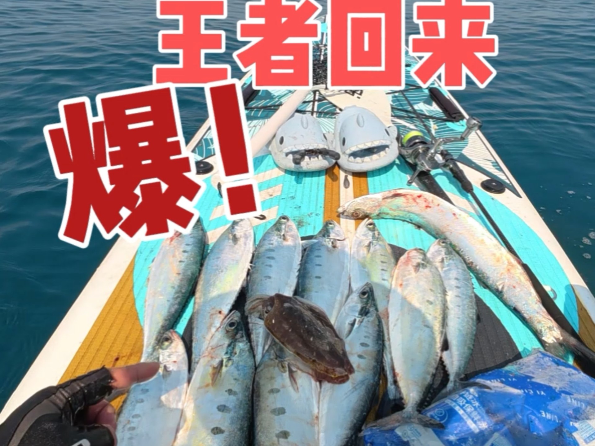 好久没有打过这么富裕的仗了