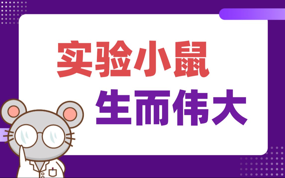 “实验小鼠,生而伟大!” ——谨以此视频向实验小鼠致敬!哔哩哔哩bilibili