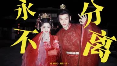 鸢飞戾天 鸢飞戾天-哔哩哔哩_Bilibili