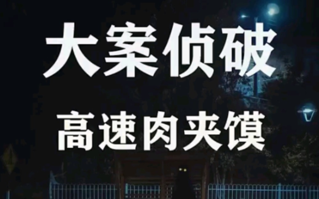 大案侦破警示录:高速肉夹馍哔哩哔哩bilibili