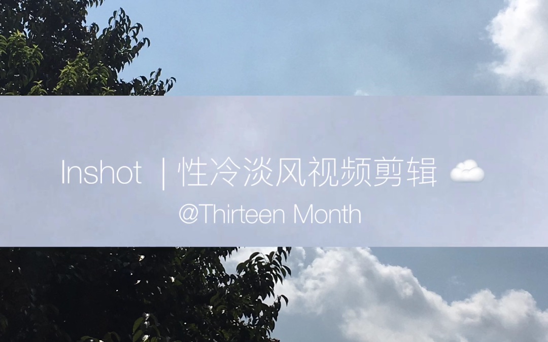 ThirteenMonth 录屏 | Inshot性冷淡风视频调色+剪辑哔哩哔哩bilibili