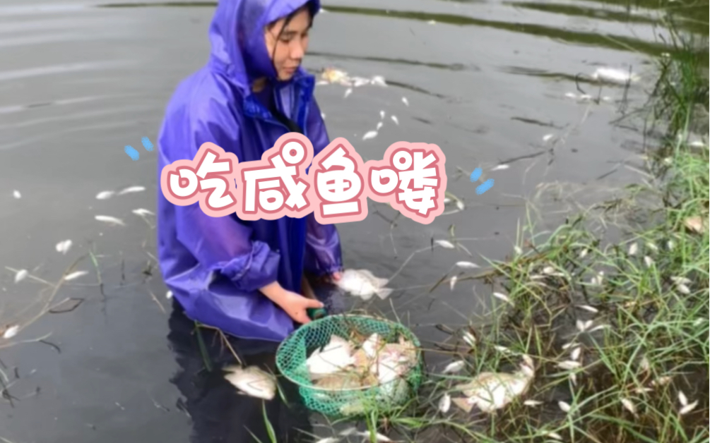 阳江市大雨把我的鱼都收走了哔哩哔哩bilibili