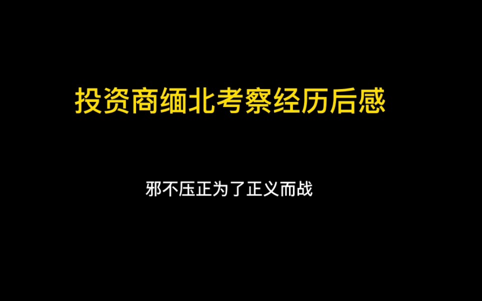 投资商缅北考察经历后感:无论花多少钱我都要回来哔哩哔哩bilibili