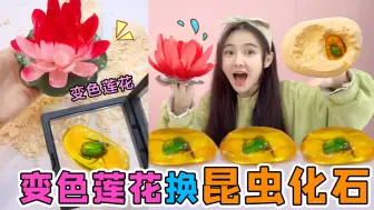 Tải video: 小卖部挖“昆虫化石”！变色莲花换神奇宝物，竟挖出一块虫琥珀？