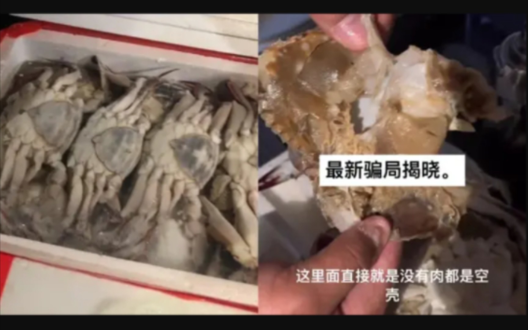 新型骗局！男子花400元买梭子蟹皮皮虾全是空壳：注水海鲜 几乎没肉