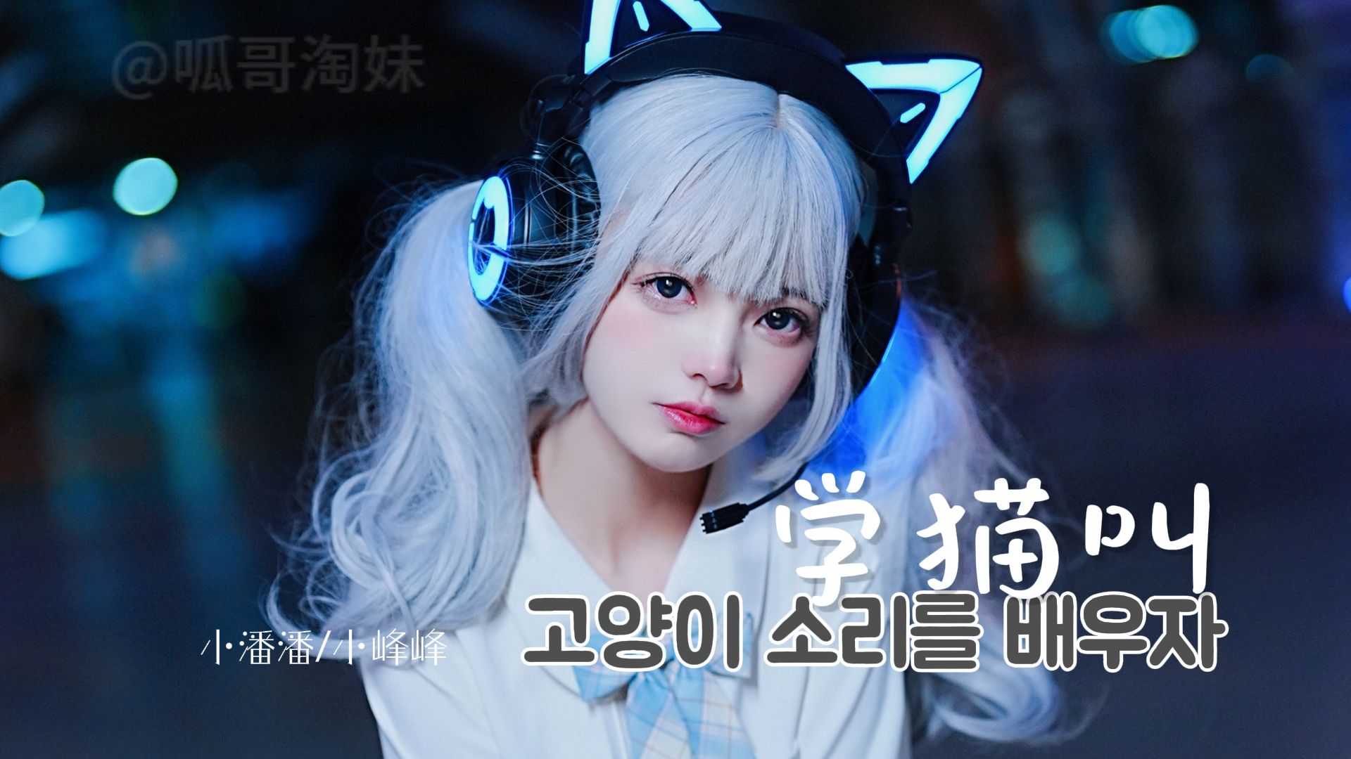 学猫叫歌曲原唱(学猫叫歌曲原唱儿童版)