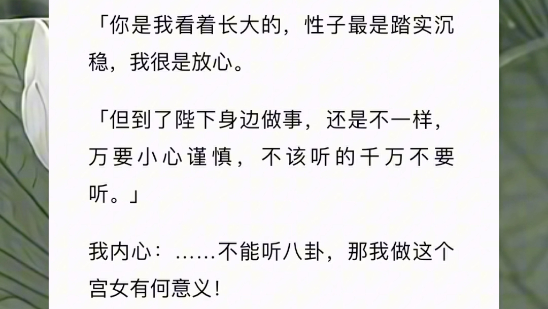 《相许武武》哔哩哔哩bilibili