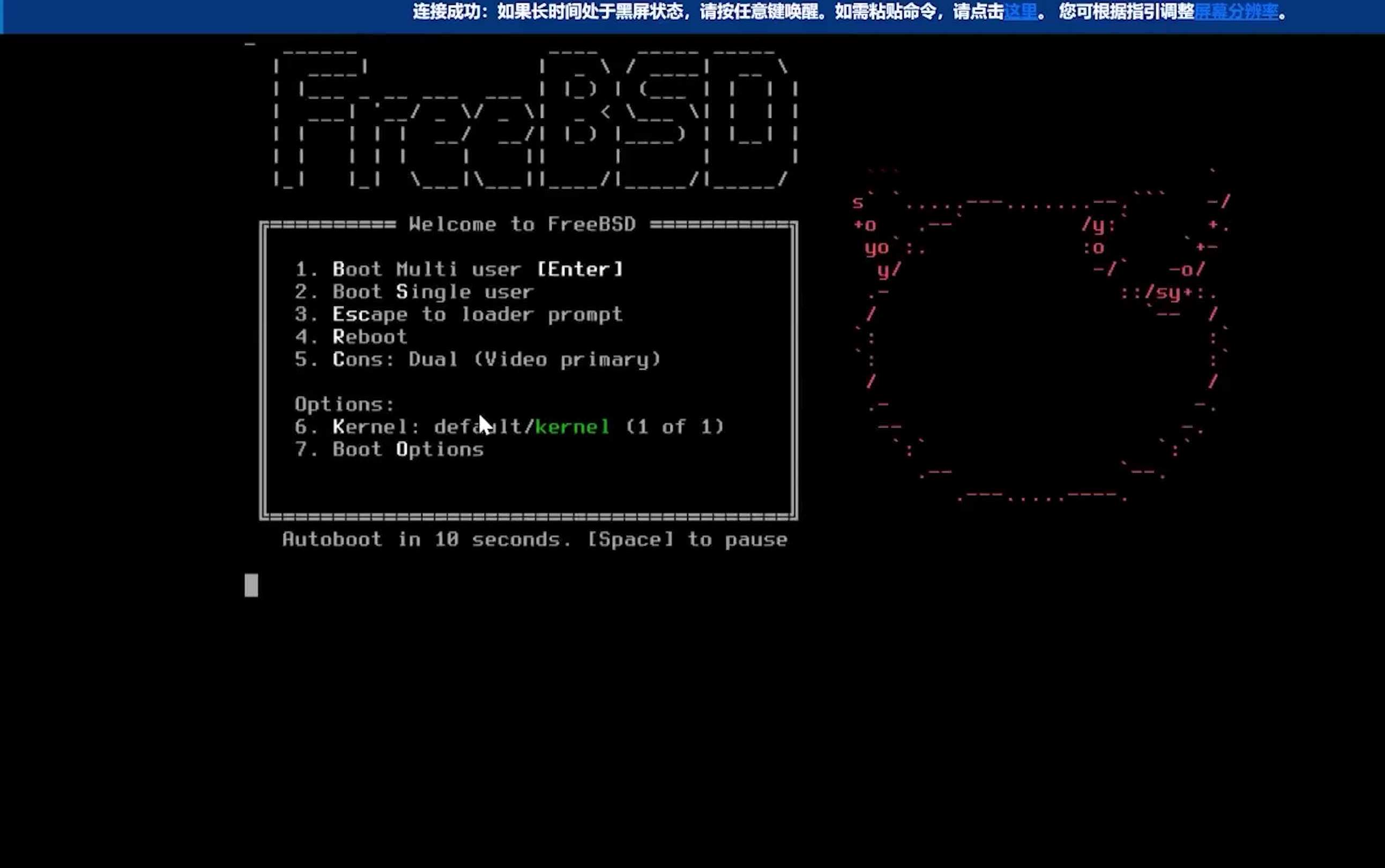 08-腾讯云轻量云及其他服务器安装 FreeBSD