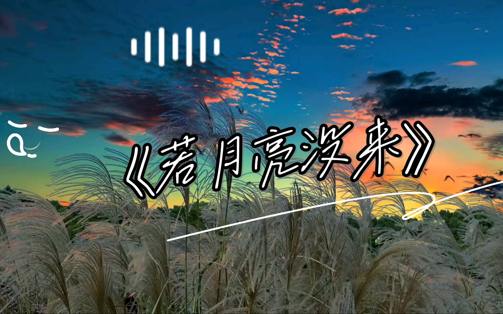 [图]《若月亮没来》宝藏歌曲安利